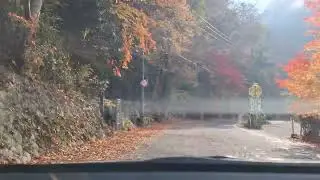Scenic drive Okutsu valley奥津渓 with Junpei Oda 27 Nov 2025