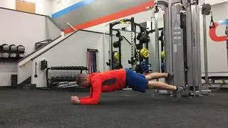Plank w/ 4-Point Lift