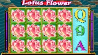 Lotus Flower Slot / Max Bet [$20] / Nice Free Spins and BIG WINS