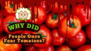 Why Did People Once Fear Tomatoes?