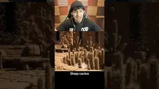 ПОСЛЕДНИЙ &mdash; БЕЗУМНЫЙ