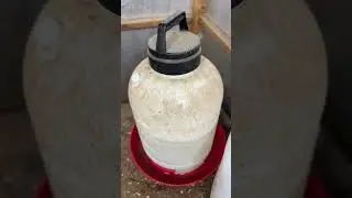 Farm Tuff Chicken Waterer Review & Demo