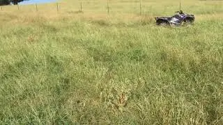 How to stop erosion  in your pasture