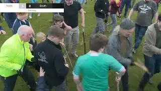 Cammag Live