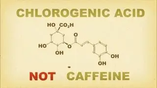Green Coffee Weight Loss -- Green Coffee Beans Weight Loss
