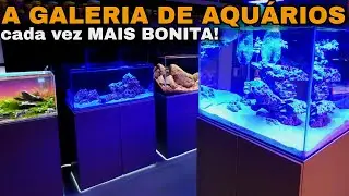 MAIS PEIXES, PLANTAS E CORAIS NA NOVA GALERIA DE AQU&Aacute;RIOS DE ECOTOP!