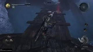 Nioh CE:The Confusion is Real