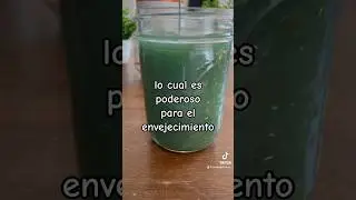 🌿 ALGAS DE LA VIDA de Shelo NABEL #shelonabelusa #espirulina
