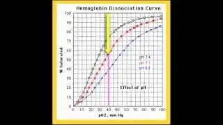 AS PE A+P Dissociation Curve