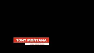 Tony Montana: Mafia Lord