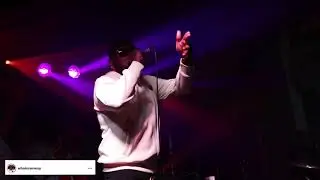 Anti-Venue Tour 2018 Recap (Organic Visuals)