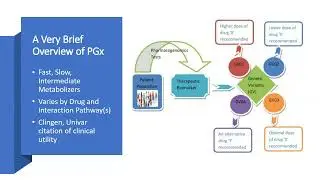 Beyond Metabolism: Expanding the Horizons of Pharmacogenomic Testing with NGS