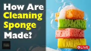 How Are cleaning Sponges Made? | History of Cleaning Sponges