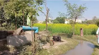Village life 🌴🌾Our Agricultural land 
