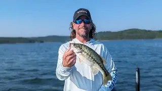 Table Rock Lake Video Fishing Report August 22, 2023 short