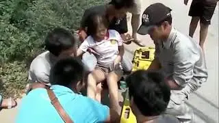 funny videos