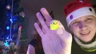 Новогодние подарки! 