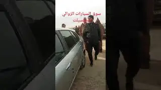 سوق السيارات الزوالي تيسمسيلت يوم 19/02/2025