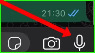 Как отключить голосовой чат в группе WhatsApp