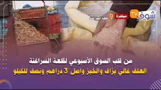 مباشرة من قلعة السراغنة : من قلب السوق الأسبوعي: العلف غالي بزاف والخبز واصل 3 دراهم ونصف للكيلو