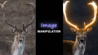 IMAGE MANIPULATION IN PHOTOSHOP