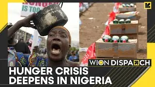 Hunger Deepens as Farmers in Conflict-Ridden Northeast Nigeria Struggle to Survive | WION Dispatch