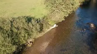 Reka Japra - Kr&scaron;lje (DJI Spark)
