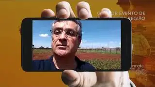 VIDEO KWS web