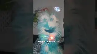 Highlights from our last Twitch stream! #funnypuppets #puppet #funny #puppetcomedy #puppetsforadults