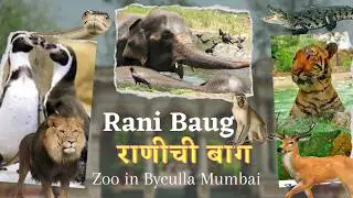 Rani Baug Zoo | मुंबईची राणी बाग | Full Travel Guide | Animals in Zoo #explore