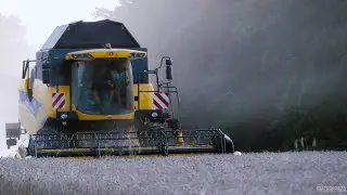 Żniwa 2021 ✔ New Holland cx 5080 | 2x John Deere |  Pszenica