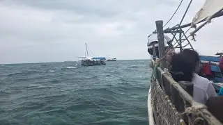 Snorkeling & Dolphin siting 🤿🐬