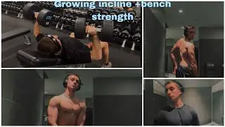 Aesthetically pleasing chest workout