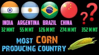 Most Corn Producing Country.सर्वाधिक मक्का उत्पादक देश। #data #statistics #corn