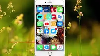 How to enable or disable Direct Messages SMS notification from twitter on iPhone6