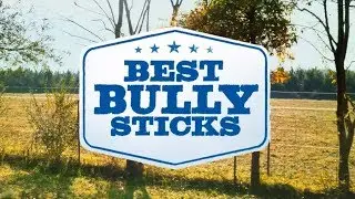 Best Bully Sticks - Welcome