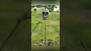 Как открыли новый вид человека: Homo naledi