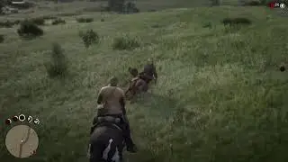 Rdr2 P3 Ps5