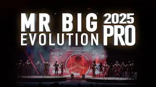 Mr Big Evolution Pro 2025