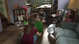 animal cognition test - max