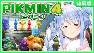 【ピクミン４】大荒れ覚悟！体験版クリアまで遊ぶぞおおおおおおおおおおおおおおおおおお！ぺこ！【ホロライブ/兎田ぺこら】