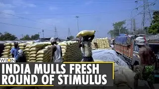 India planning around $20 billion of new stimulus | World News | WION News