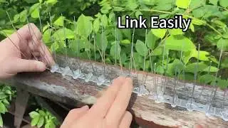 Nsxc Bird spikes,  Anti Pigeon Spikes, Spikes for Fence Tops,Garden, Balcony Roof and Windows