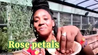 Crafting Ritual Incense | A recorded session 