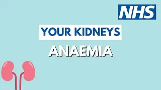Anaemia and the kidneys | UHL NHS Trust