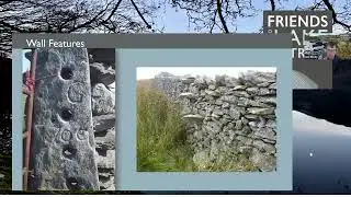 Webinar: Living Landscapes - Dry Stone Walls