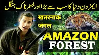 Amazon forest Documentary in Urdu/Hindi 3D|History of Amazon jungle 4K|Exclusive Amazing Facts