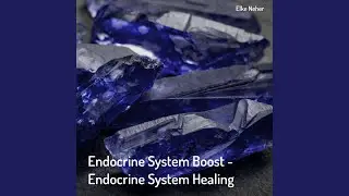 Endocrine System Boost: Endocrine System Healing