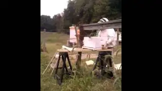 Bee Swarm
