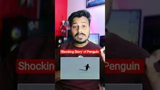😮Penguin video why viral | Penguin viral video | Penguin depressed | Penguin Viral video in hindi